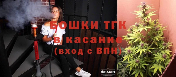 ешки Инсар