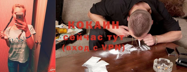 ешки Инсар